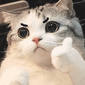 ddb05422cd9573e23331b701ea3e2a28.gif