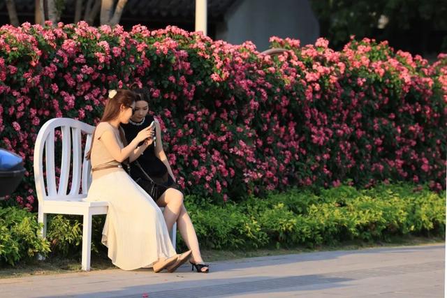 微信图片_20250501211445.jpg