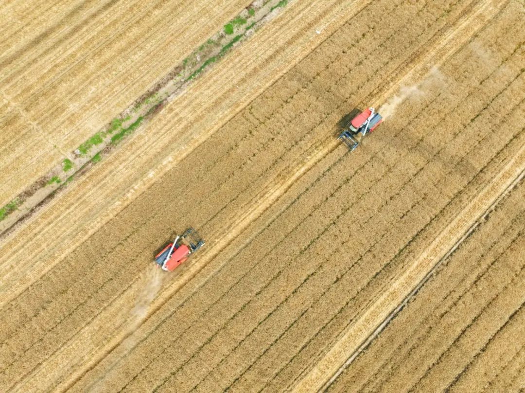 DJI_0239.jpg