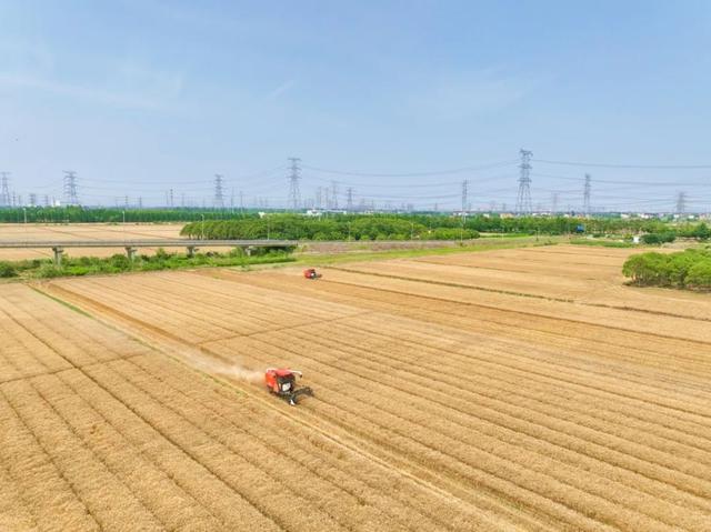 DJI_0193.jpg