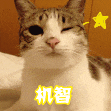 00B10A63.gif