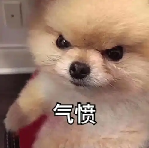 ΢ͼƬ_20250619132224.png