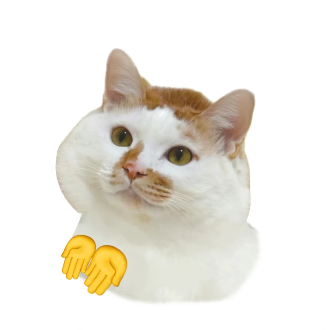 ͼƬ