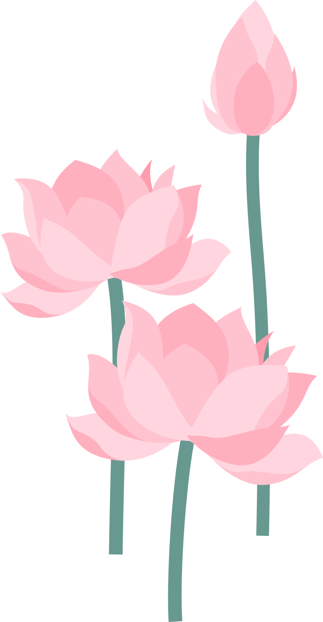 ͼƬ
