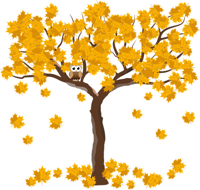 1v3/173099246395.png 图片