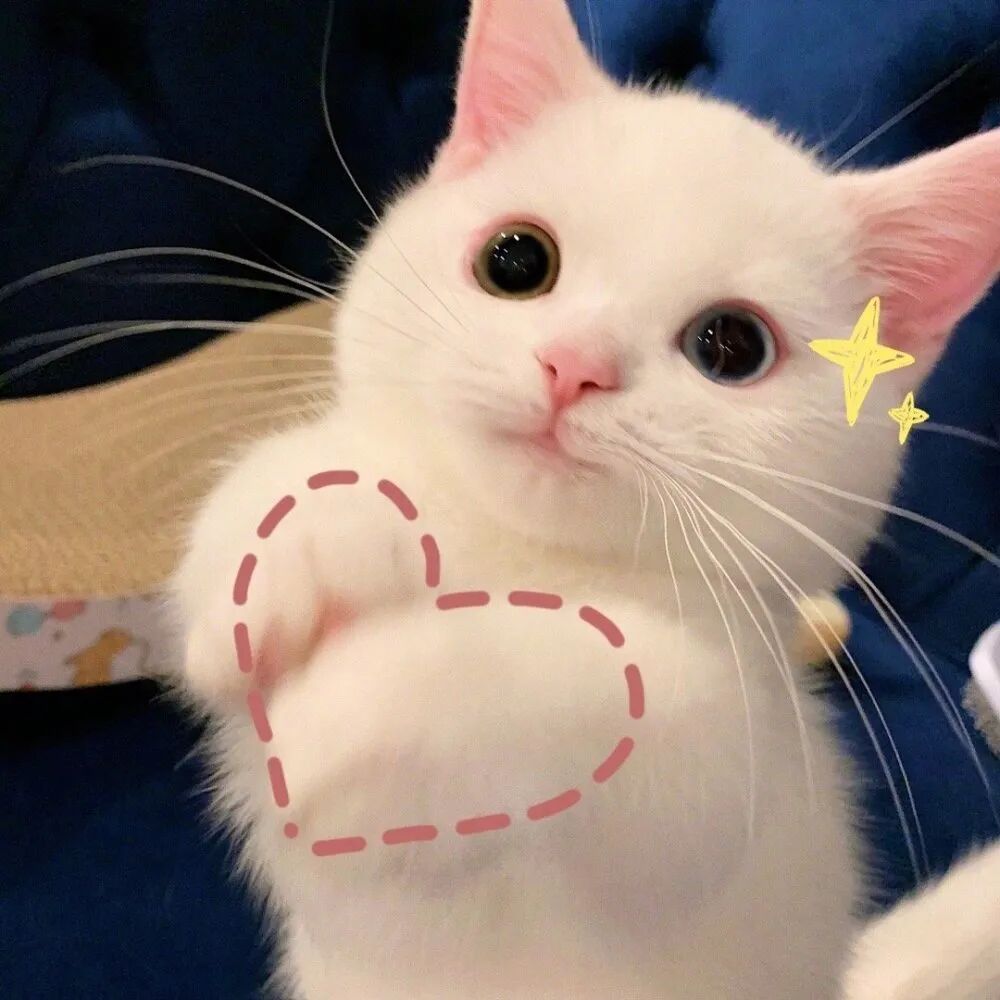 ͼƬ